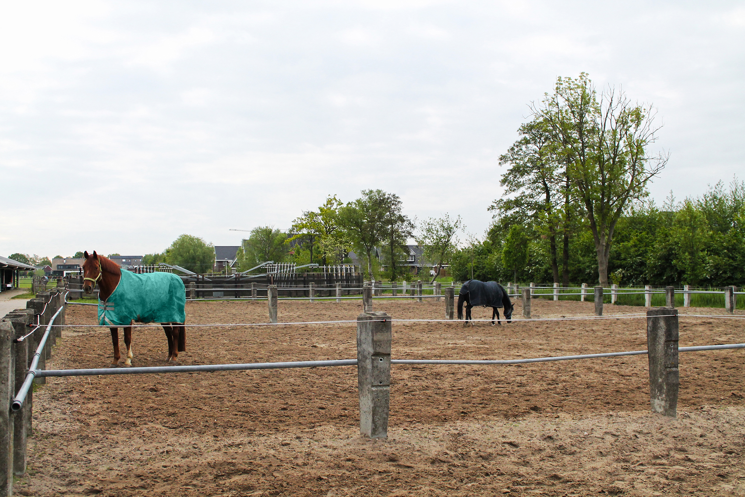 groenewoude-paddocks