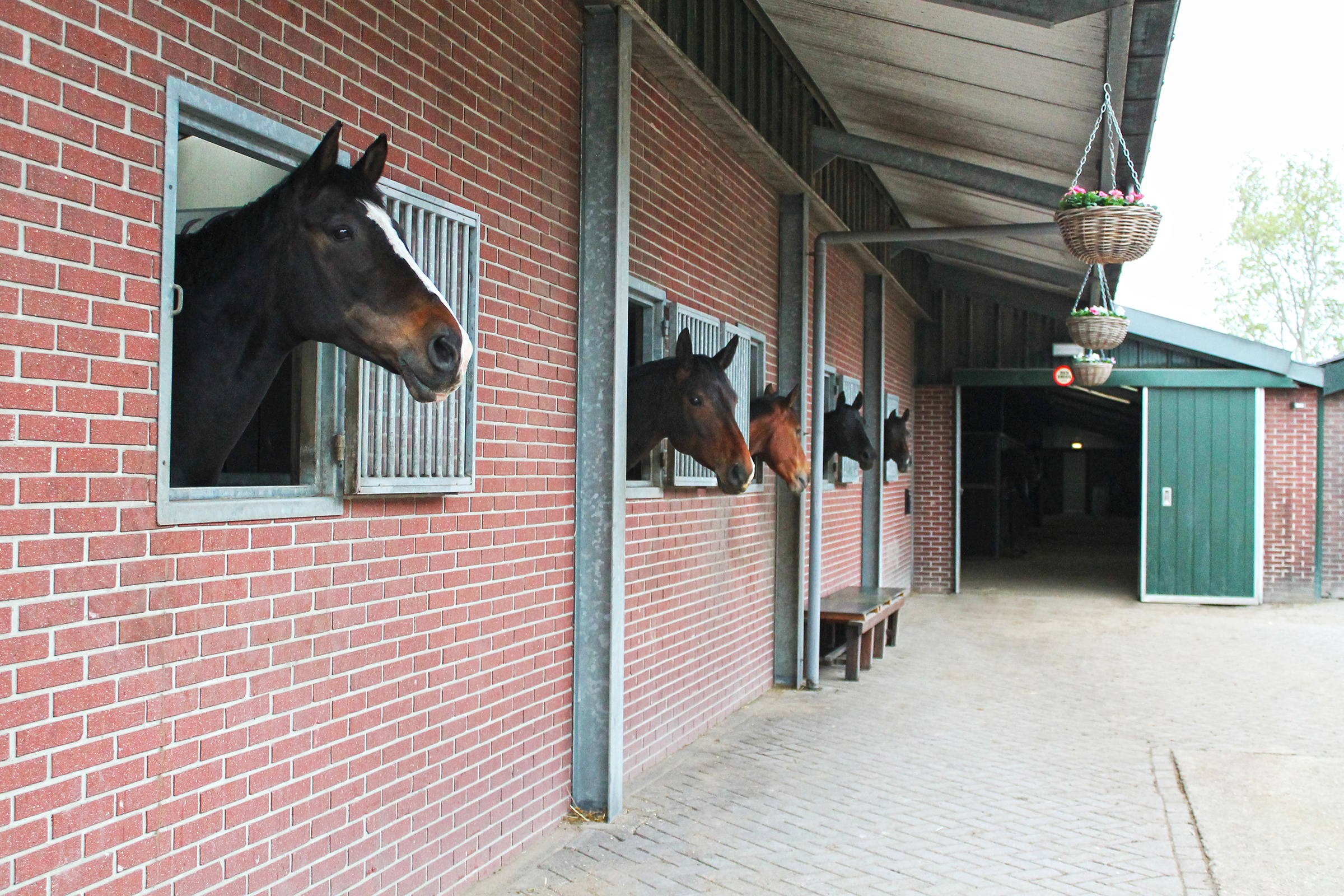 groenewoude-stalling